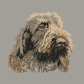 Spinone Italiano Embroidered Sweatshirt Hoodie