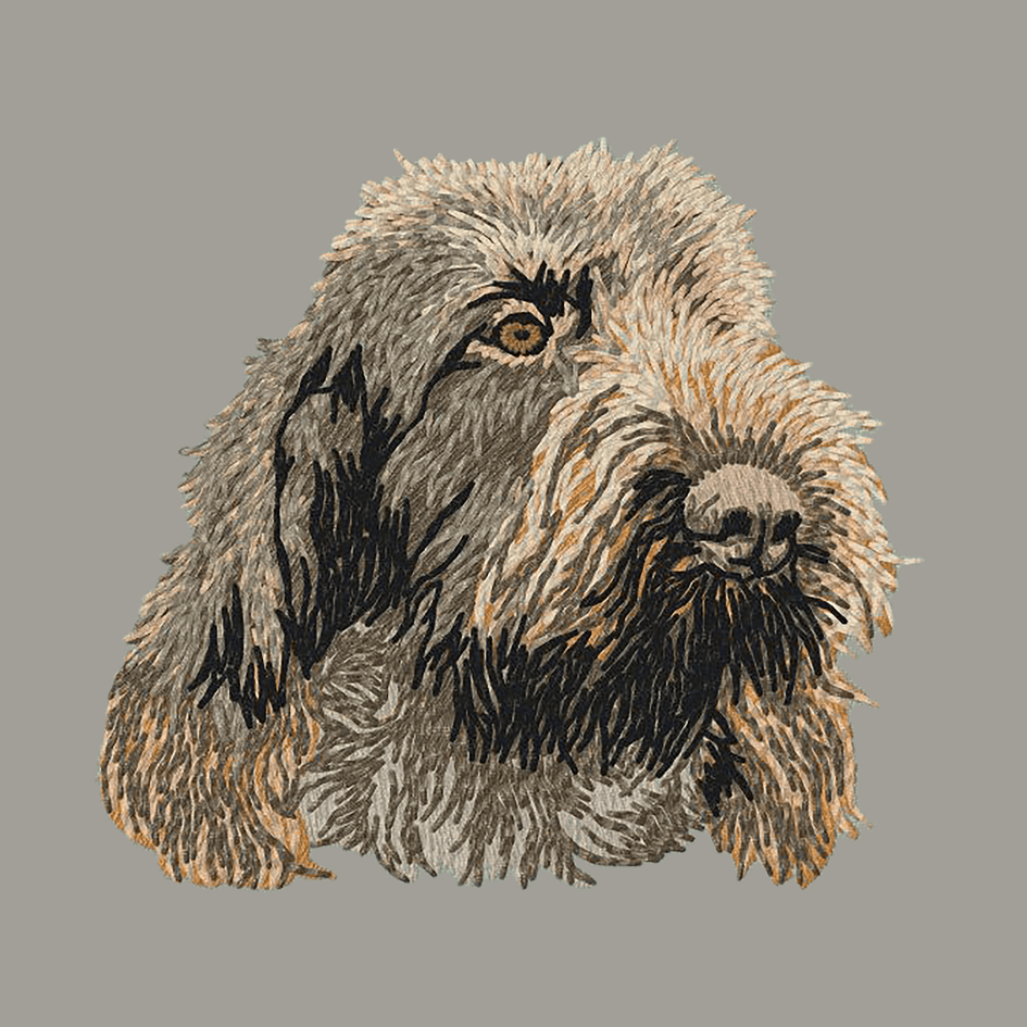 Spinone Italiano Embroidered Sweatshirt Hoodie