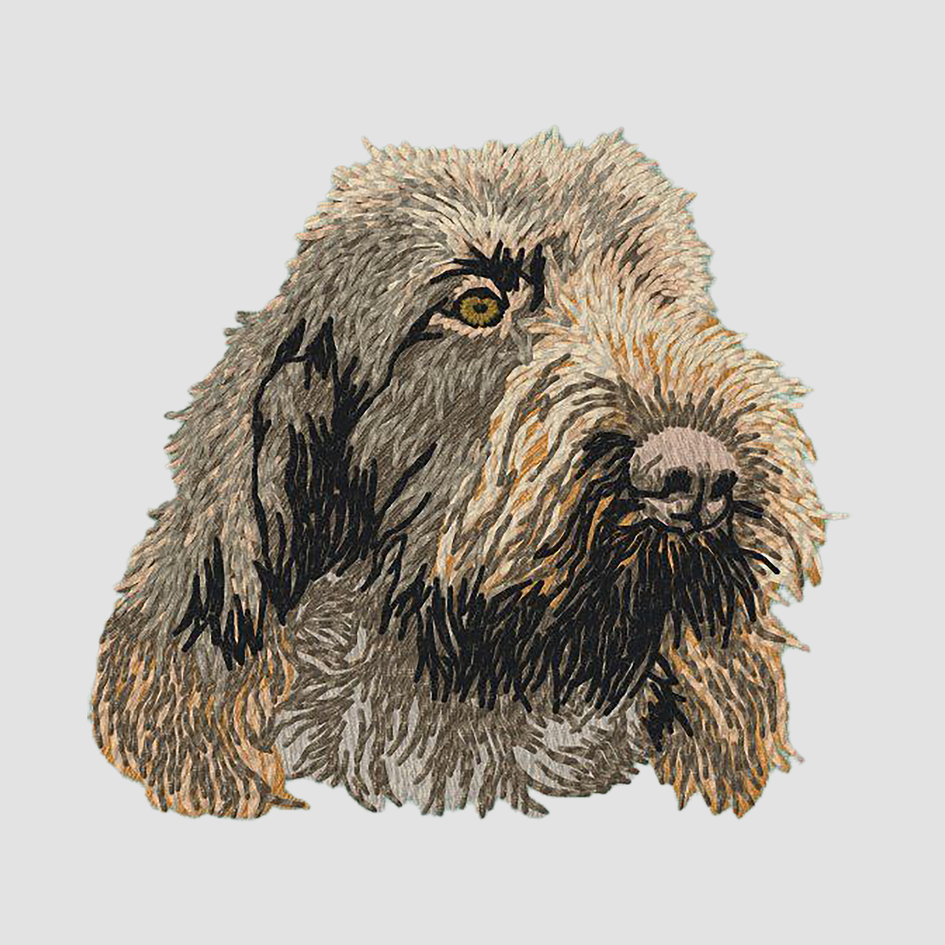 Spinone Italiano Embroidered Classic Long Sleeve Shirt