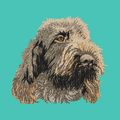 Spinone Italiano Embroidered Baseball Cap