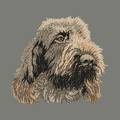 Spinone Italiano Embroidered Wearable Blanket