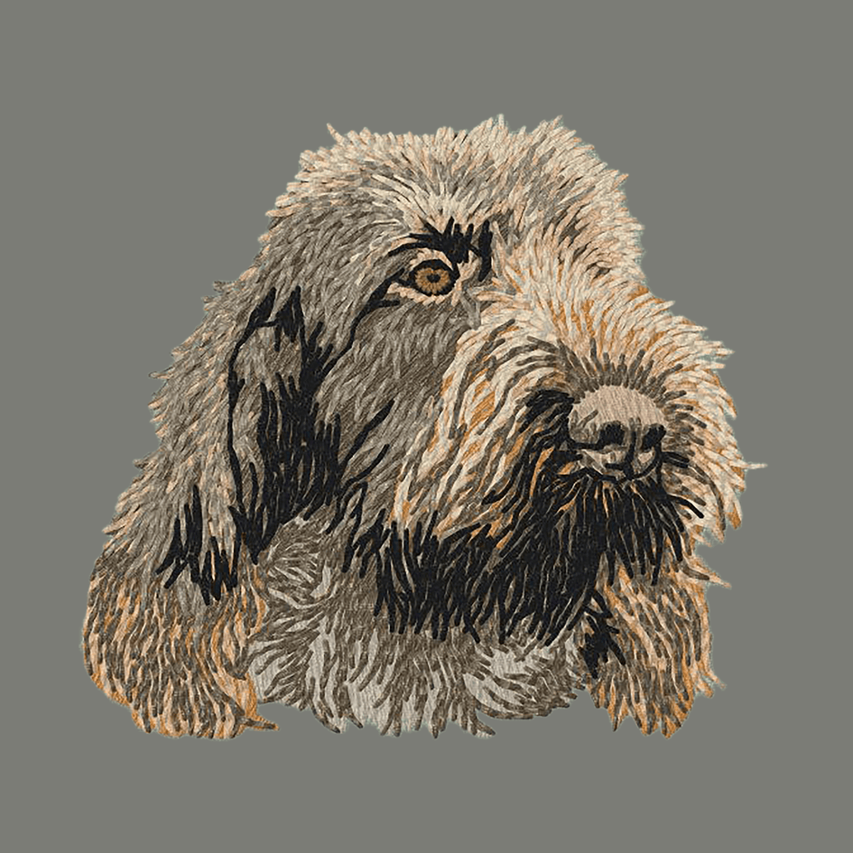 Spinone Italiano Embroidered Wearable Blanket