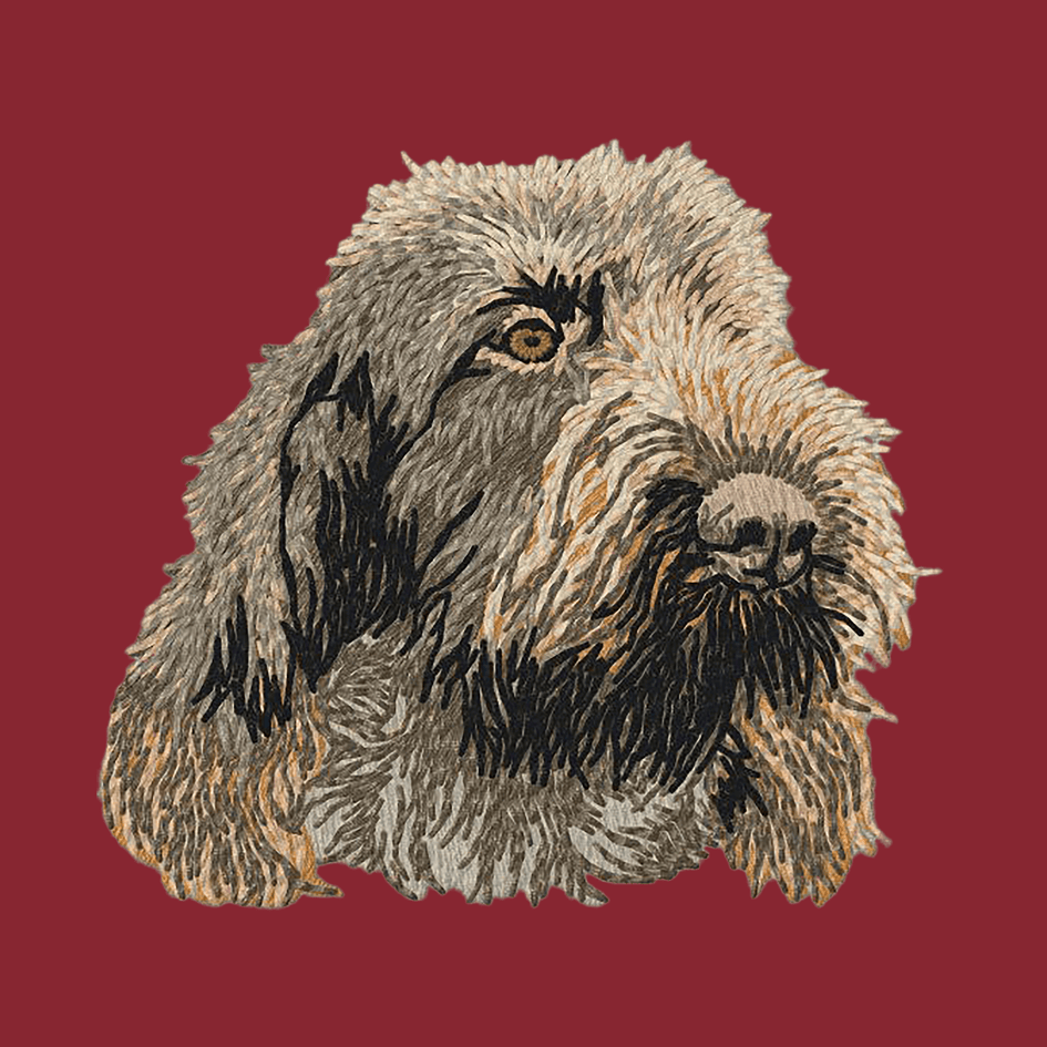 Spinone Italiano Embroidered Wearable Blanket