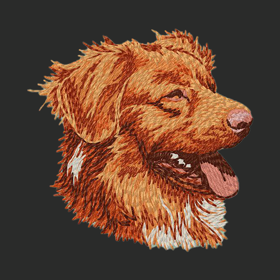 Nova Scotia Duck Tolling Retriever Embroidered Classic Long Sleeve Shirt