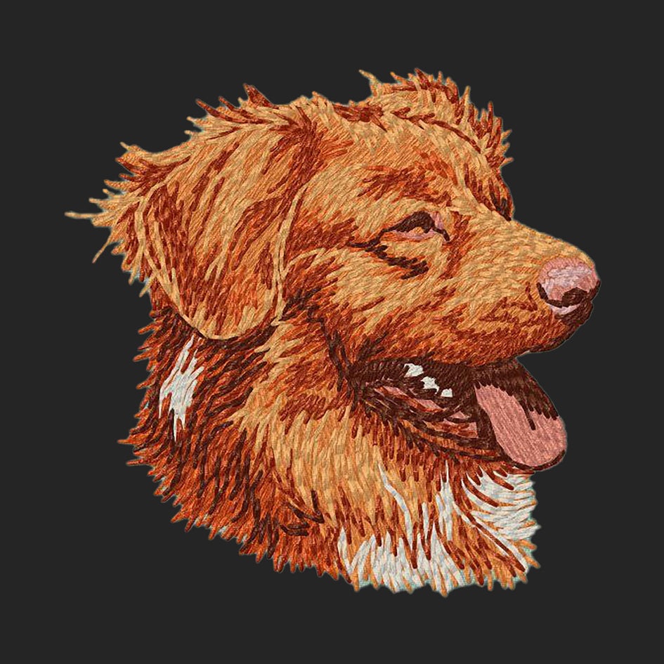 Nova Scotia Duck Tolling Retriever Embroidered Sweatshirt Hoodie