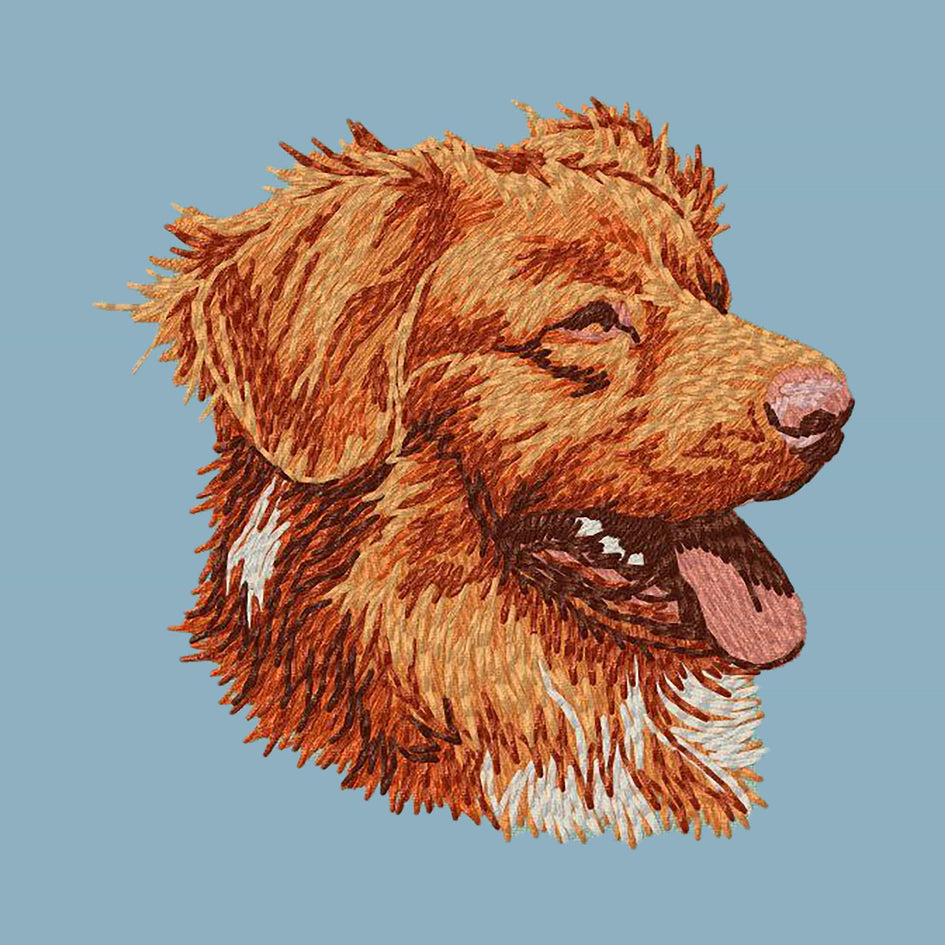 Nova Scotia Duck Tolling Retriever Embroidered Sweatshirt Hoodie