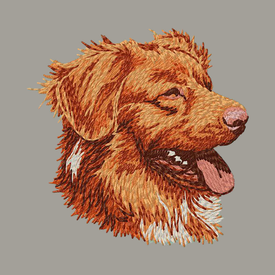 Nova Scotia Duck Tolling Retriever Embroidered Sweatshirt Hoodie