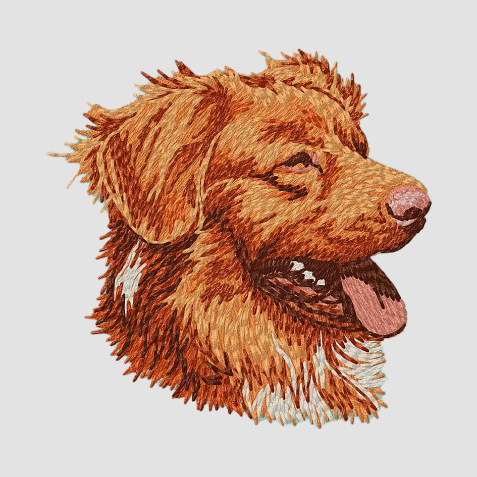 Nova Scotia Duck Tolling Retriever Embroidered Classic Long Sleeve Shirt