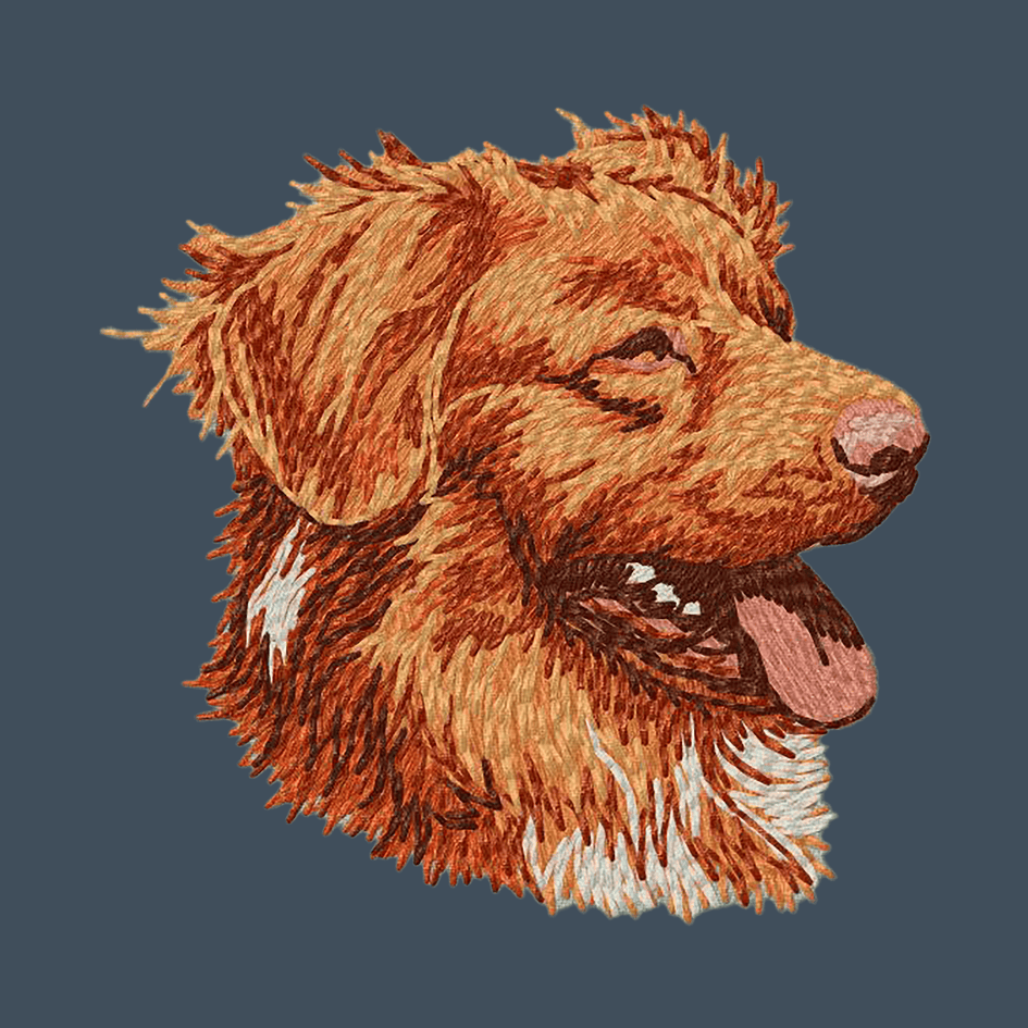 Nova Scotia Duck Tolling Retriever Embroidered Baseball Cap