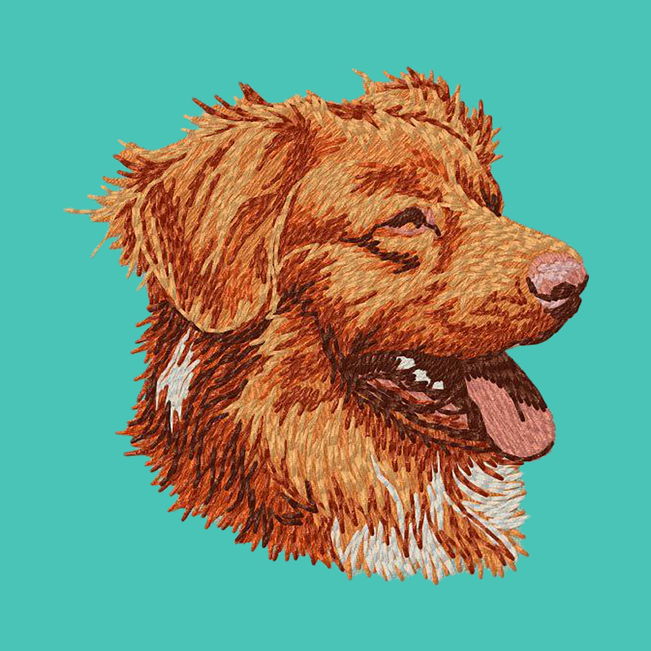 Nova Scotia Duck Tolling Retriever Embroidered Baseball Cap