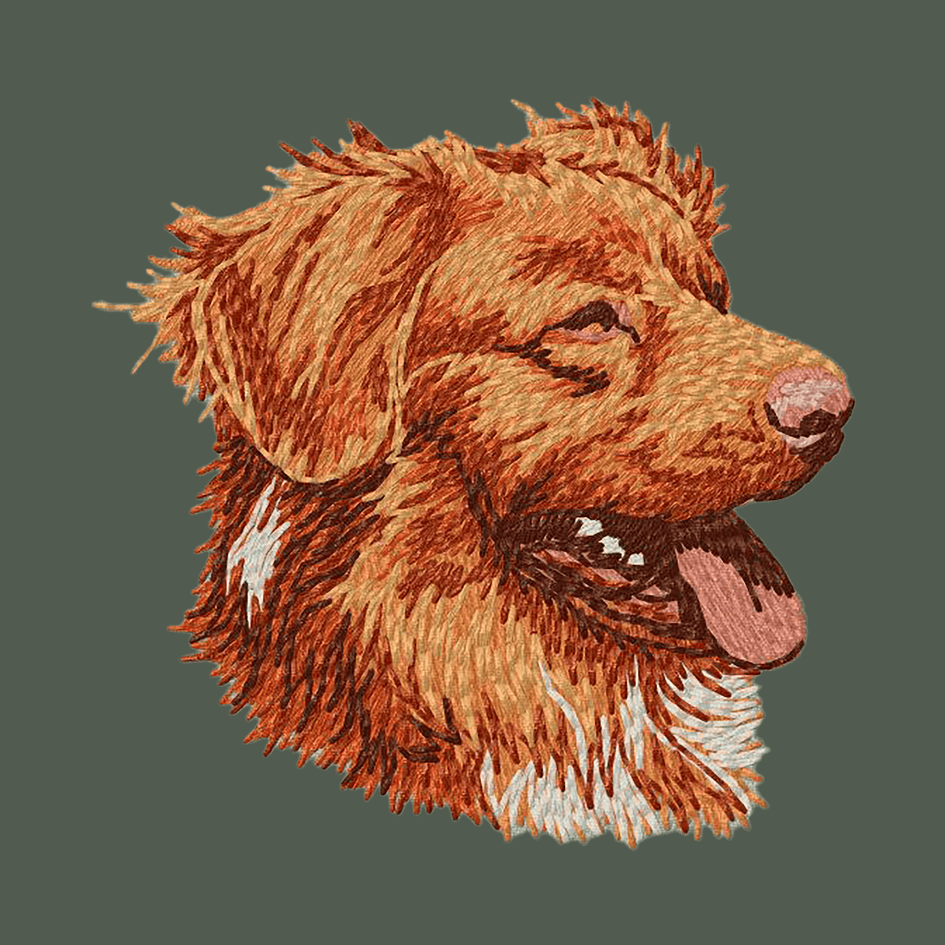 Nova Scotia Duck Tolling Retriever Embroidered Baseball Cap