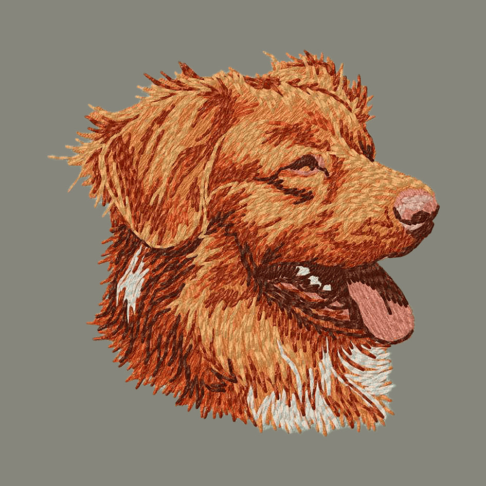 Nova Scotia Duck Tolling Retriever Embroidered Baseball Cap