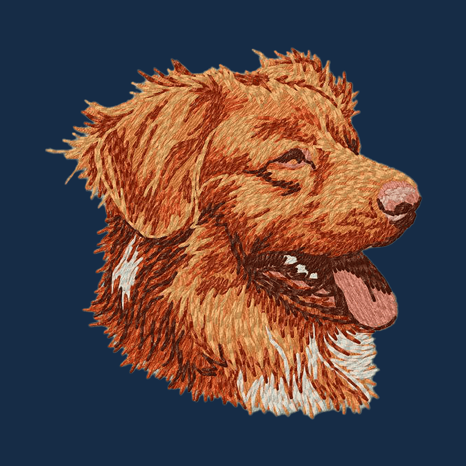 Nova Scotia Duck Tolling Retriever Embroidered Men's Denim Shirt