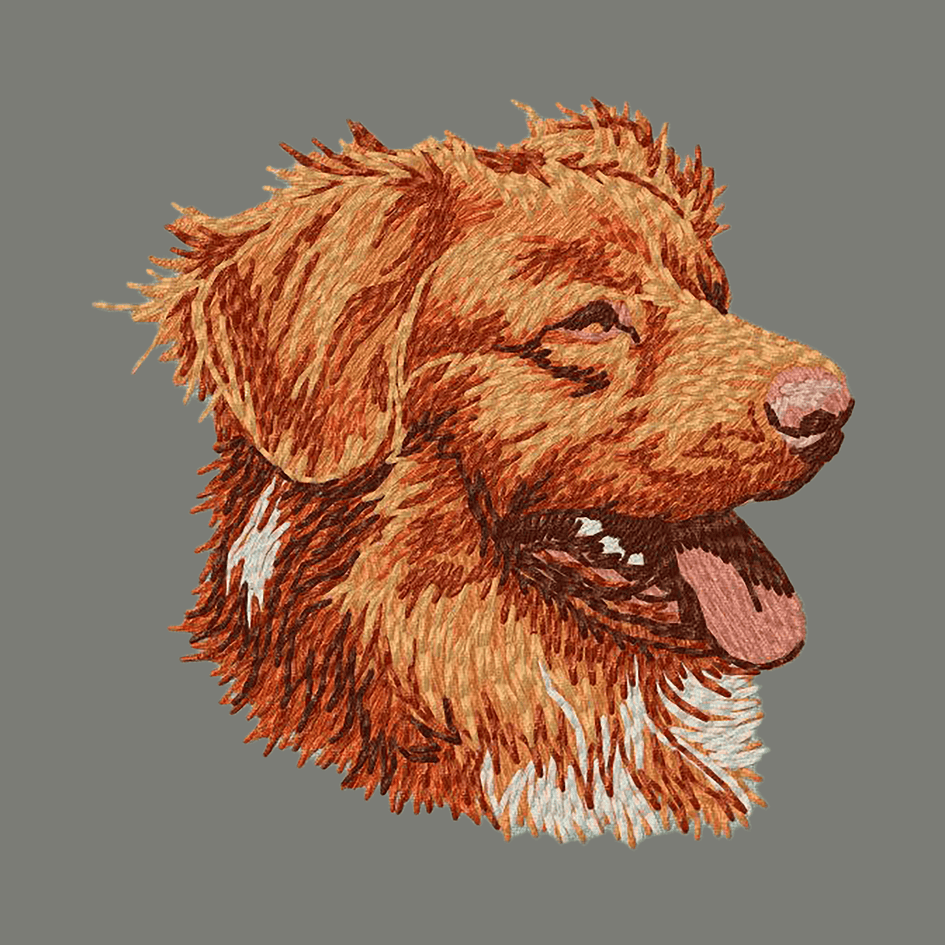 Nova Scotia Duck Tolling Retriever Embroidered Wearable Blanket