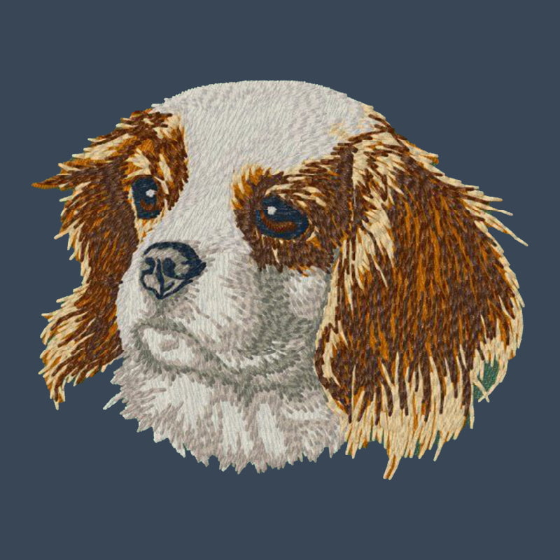 Cavalier King Charles Spaniel Embroidered Women's Denim Shirt