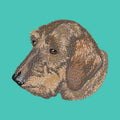Dachshund Embroidered Baseball Cap