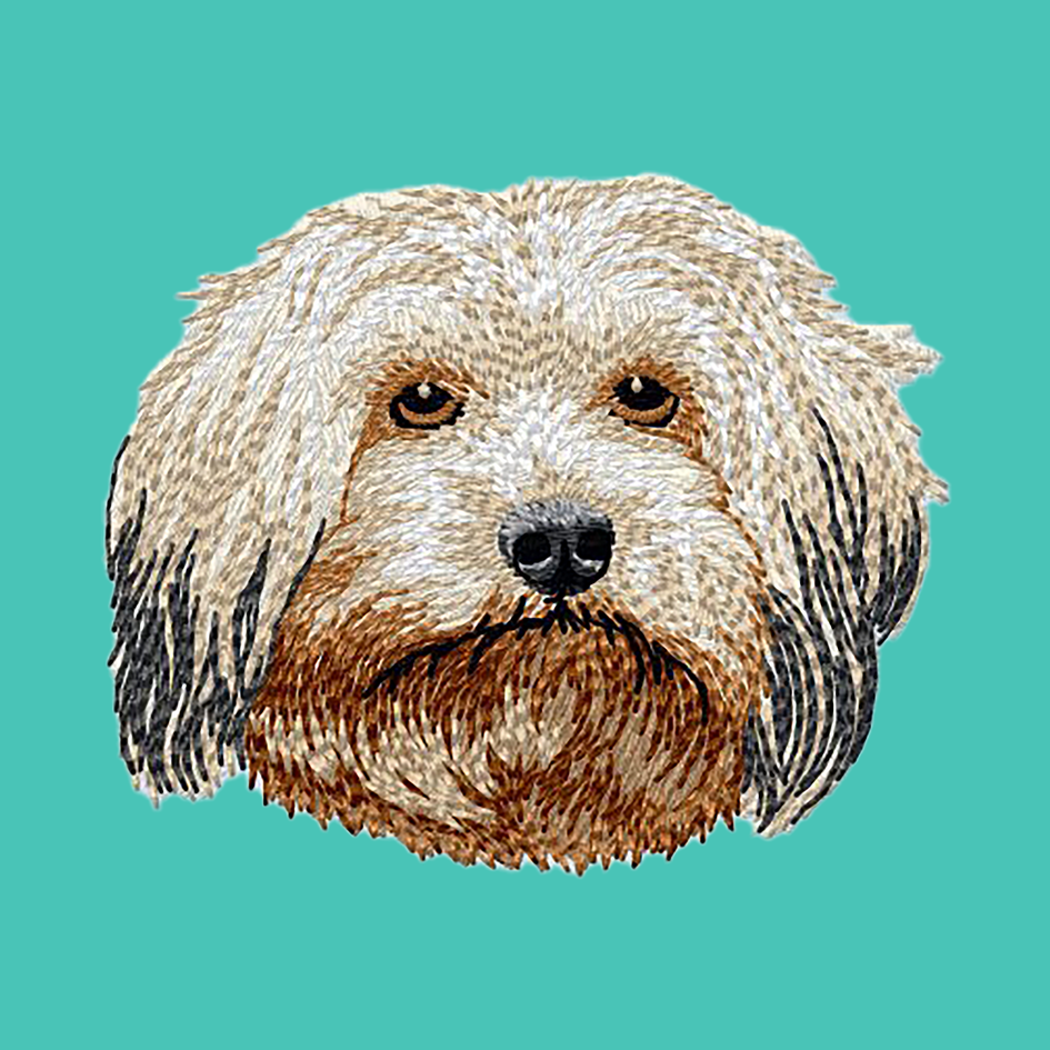 Havanese Embroidered Baseball Cap