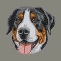 Greater Swiss Mountain Dog Embroidered Baseball Cap