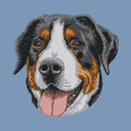 Greater Swiss Mountain Dog Embroidered Men's Denim Shirt