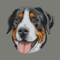 Greater Swiss Mountain Dog Embroidered Wearable Blanket