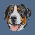 Greater Swiss Mountain Dog Embroidered Women's Denim Shirt