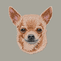 Chihuahua Embroidered Classic Long Sleeve Shirt