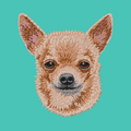Chihuahua Embroidered Baseball Cap