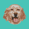 English Setter Embroidered Baseball Cap