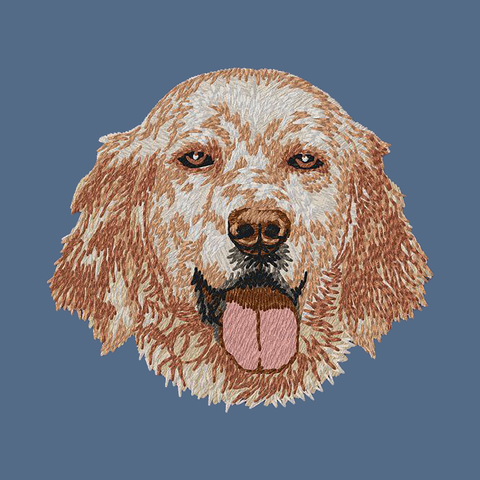 English Setter Embroidered Women's Denim Shirt