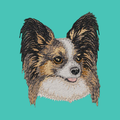 Papillon Embroidered Baseball Cap