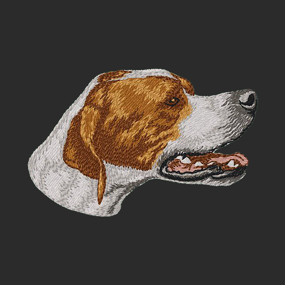 Pointer Embroidered Classic Long Sleeve Shirt
