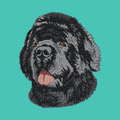 Newfoundland Embroidered Baseball Cap
