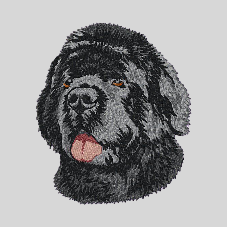 Newfoundland Embroidered Mock Neck Sweatshirt