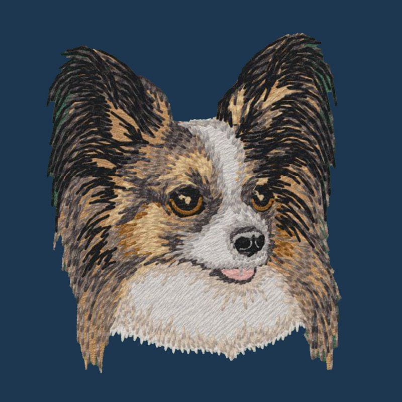 Papillon Embroidered Men's Denim Shirt