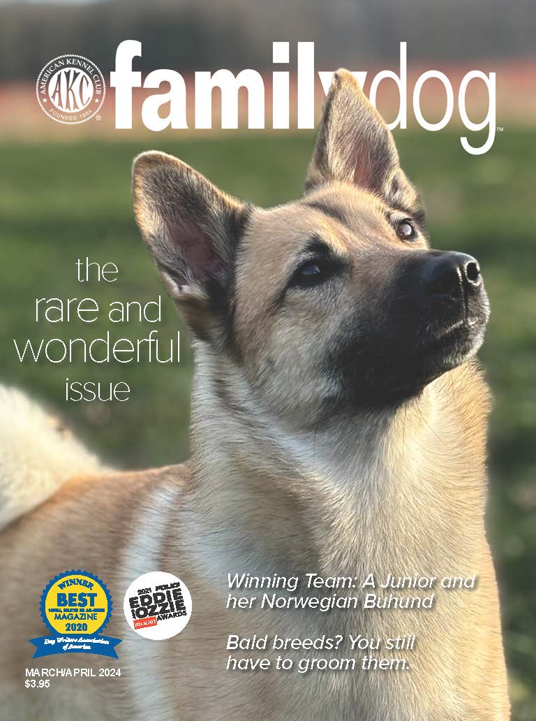 ^ AKC Family Dog Magazine Single Issue (Digital)