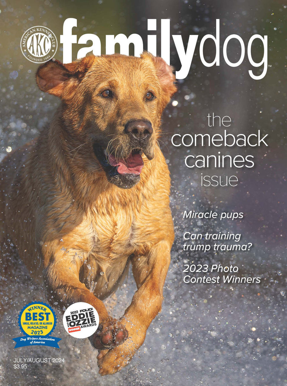 AKC Family Dog Magazine Single Issue (Digital)