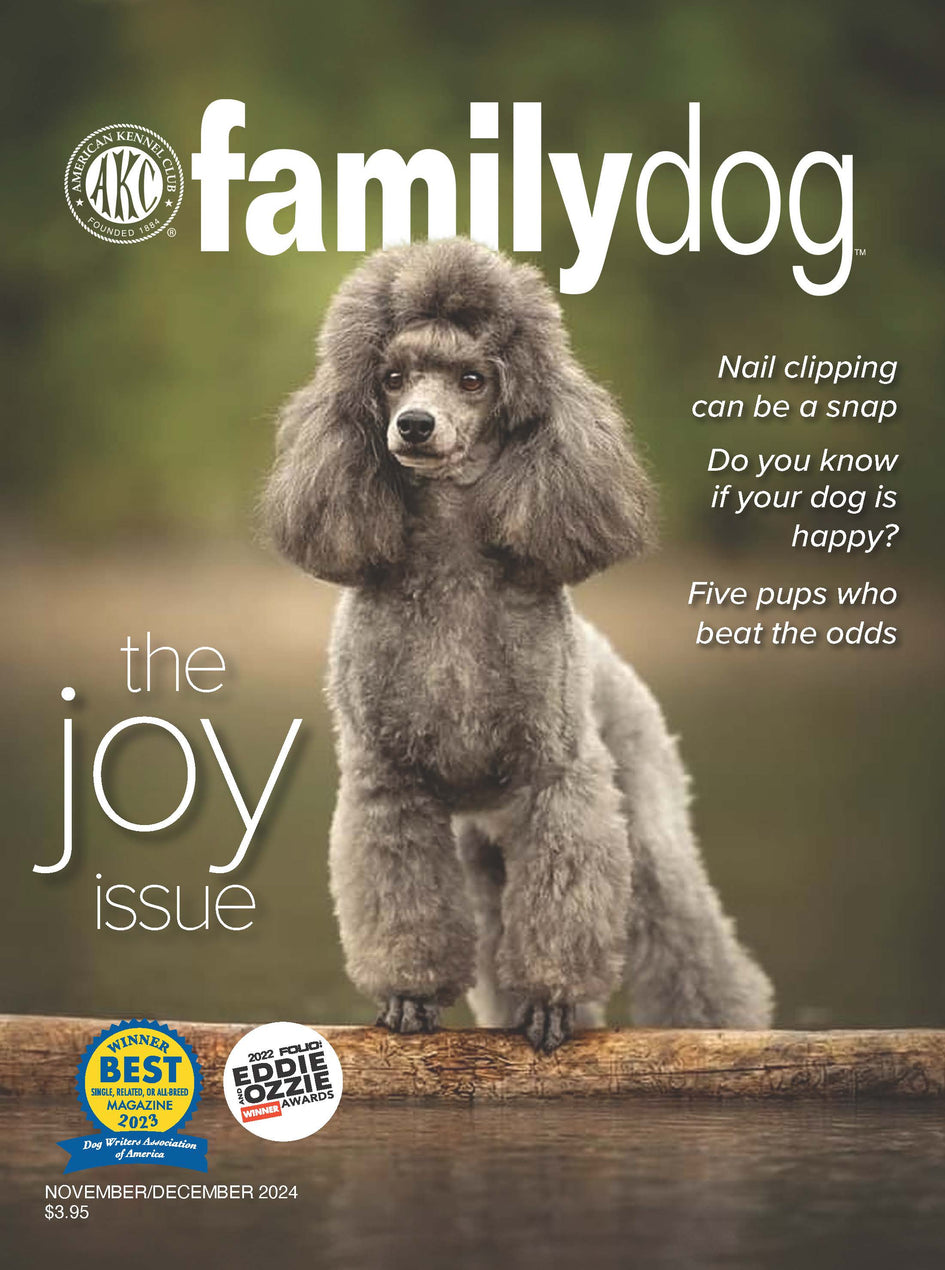 AKC Family Dog Magazine Single Issue (Digital)