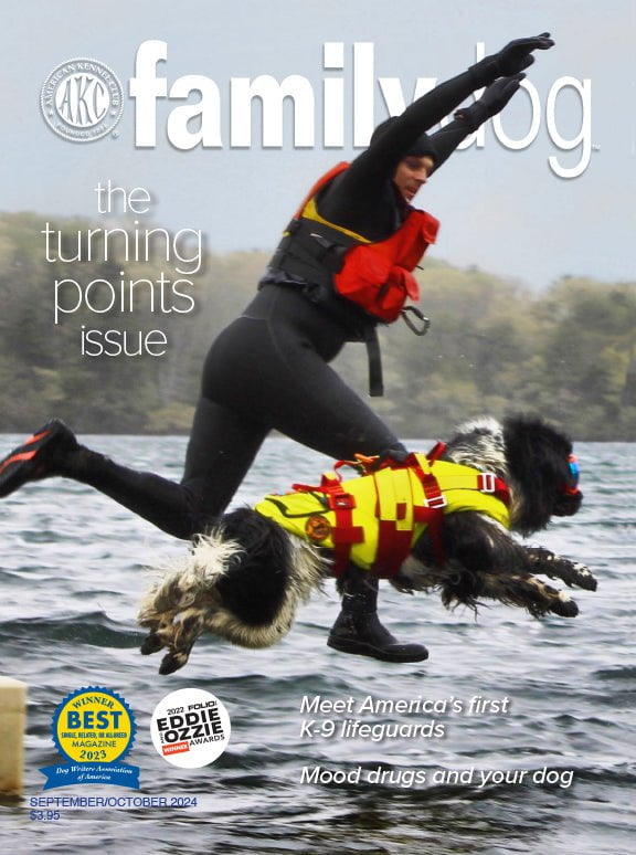 AKC Family Dog Magazine Single Issue (Digital)