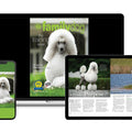 AKC Family Dog Magazine Subscription