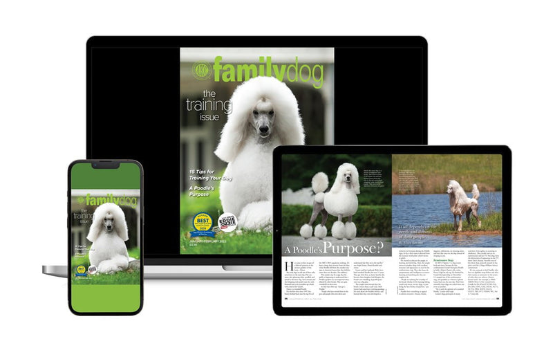 AKC Family Dog Magazine Subscription
