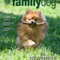 AKC Family Dog Magazine Single Issue (Digital)