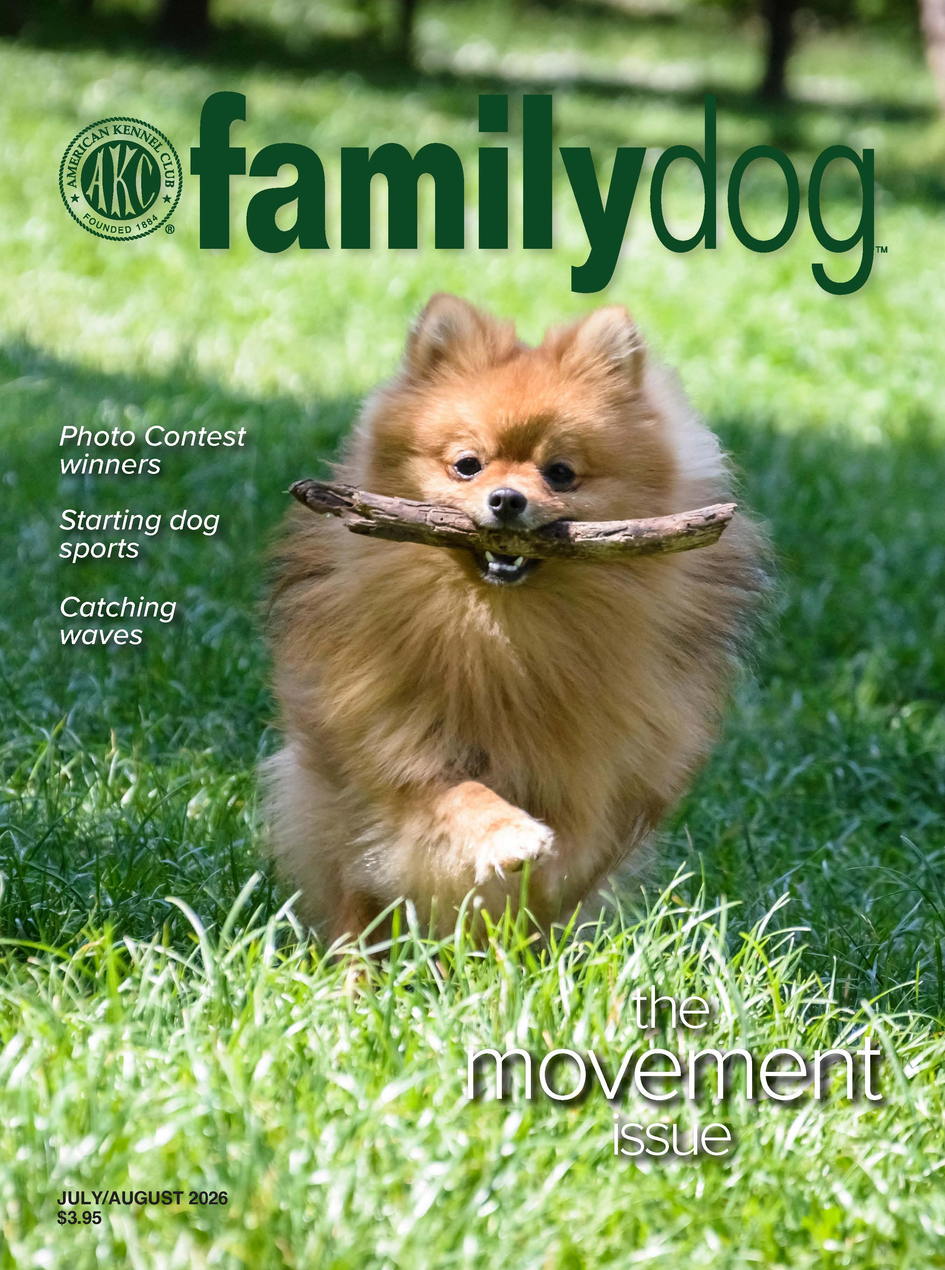 AKC Family Dog Magazine Single Issue (Digital)
