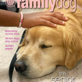 AKC Family Dog Magazine Single Issue (Digital)