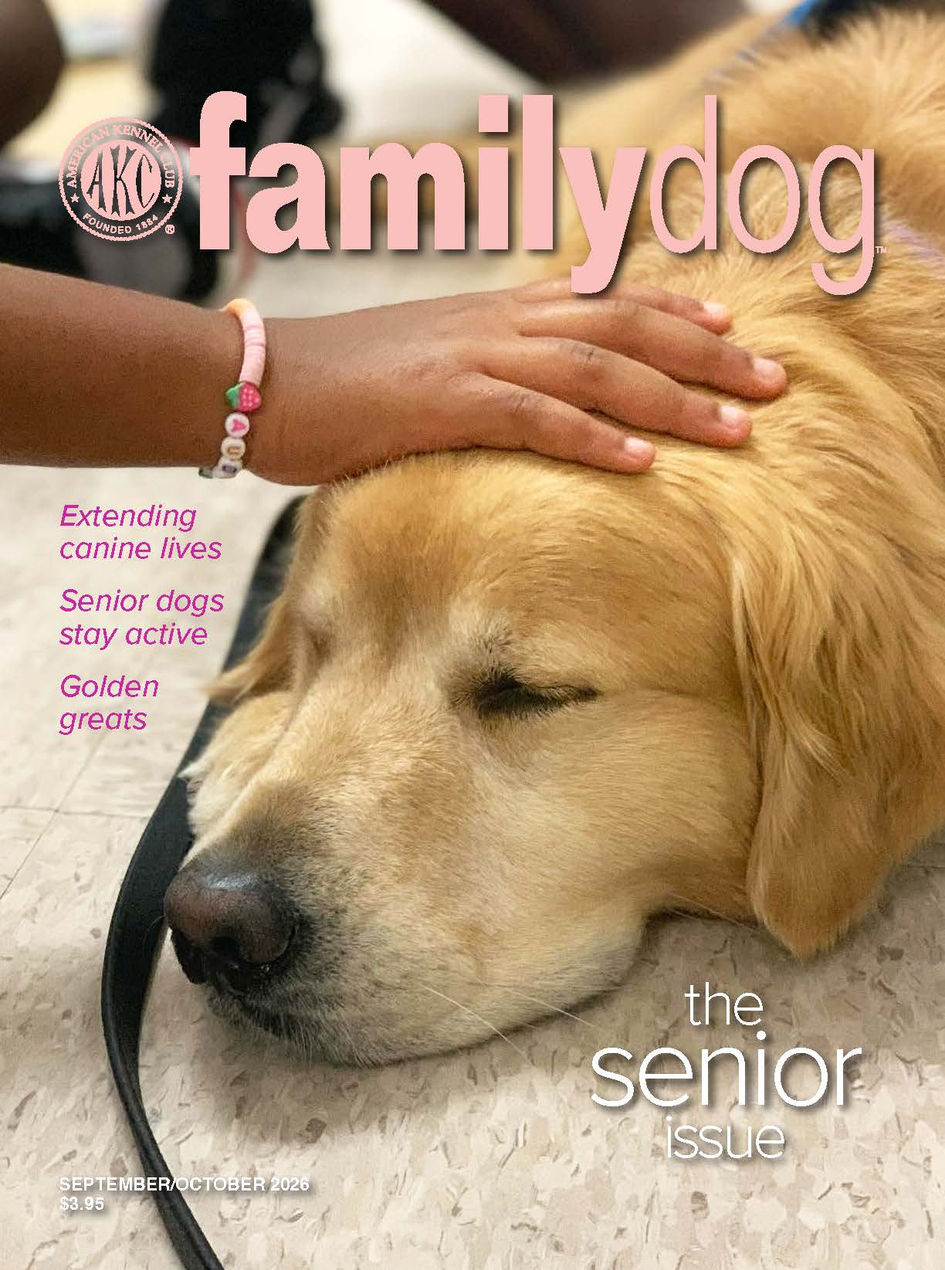 AKC Family Dog Magazine Single Issue (Digital)