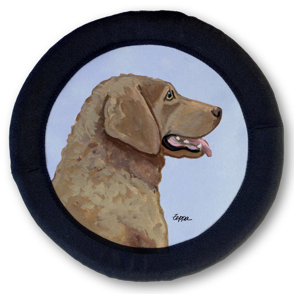 Chesapeake Bay Retriever FOTOFRISBY Flying Dog Disc Toy