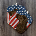 Field Spaniel  Americana Pot Holder Set