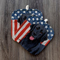 Flat-Coated Retriever  Americana Pot Holder Set