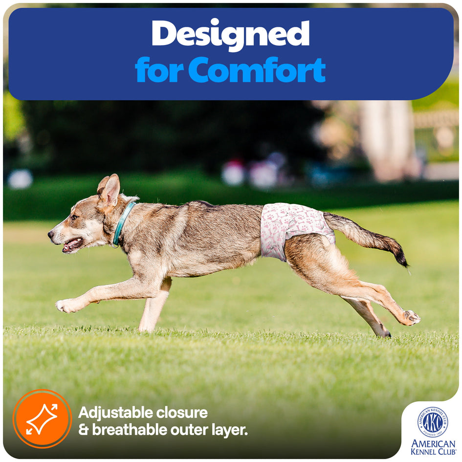 American Kennel Club Female Dog Wrap, Disposable Diapers with Wetness Indicator (L – High Tail (18–27 in), 50, Count)