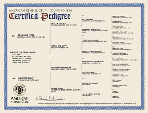 AKC Certified Pedigrees AKC Shop - Main Image