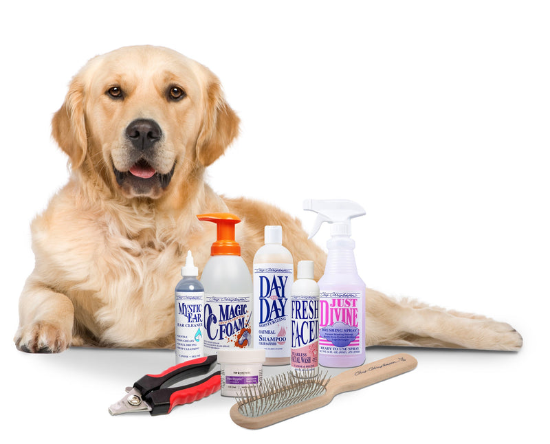 Essential Dog Grooming Kit & Pin Brush